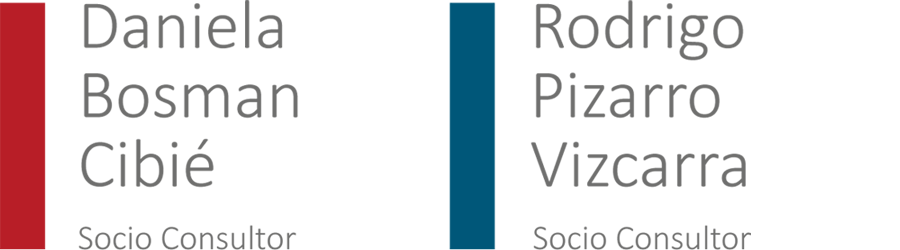 Socios consultores: Daniela Bosman Cibié y Rodrigo Pizarro Viscarra